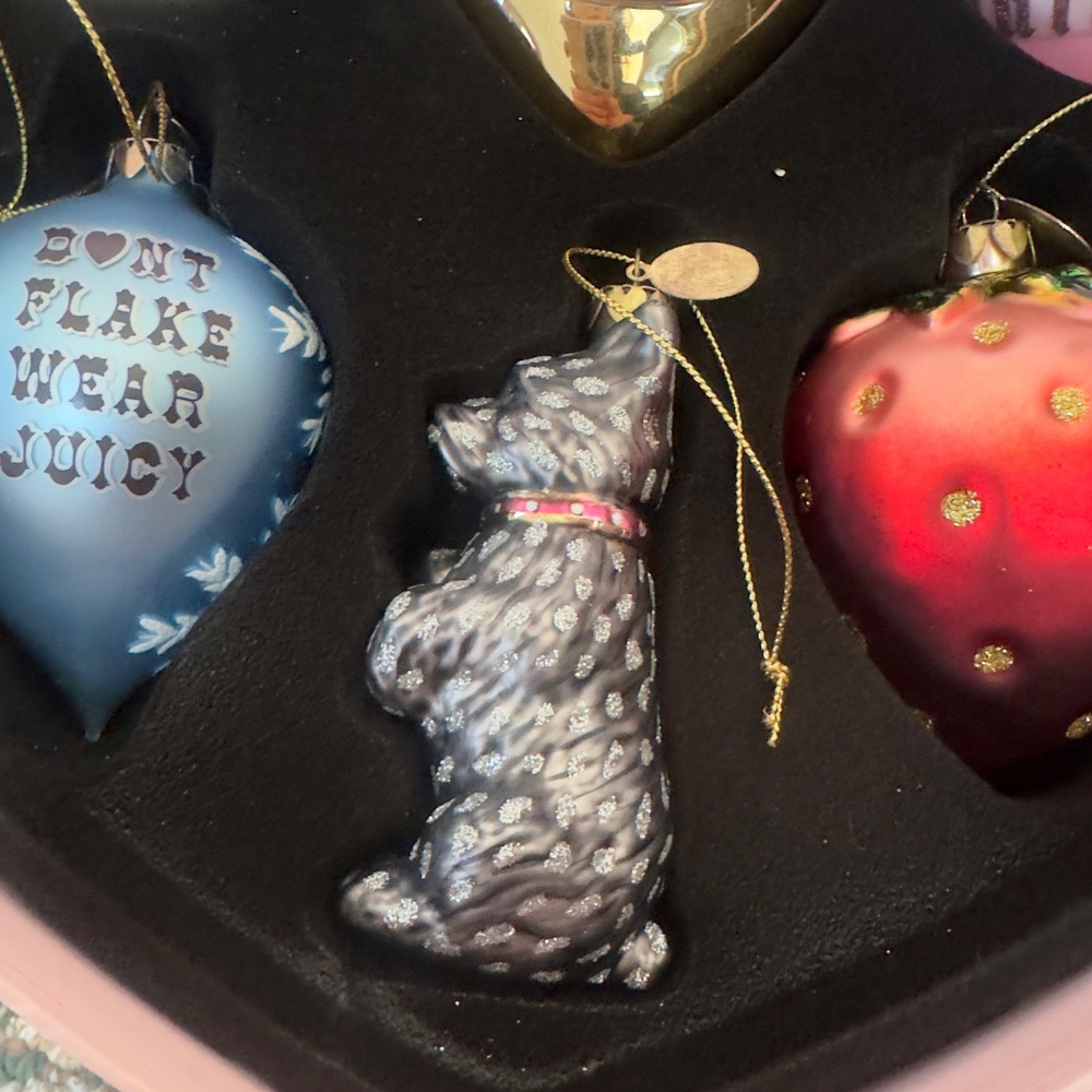 RARE Juicy Couture Set of 6 Blown Glass Christmas Holiday Ornaments Heart Box - Picture 8 of 11
